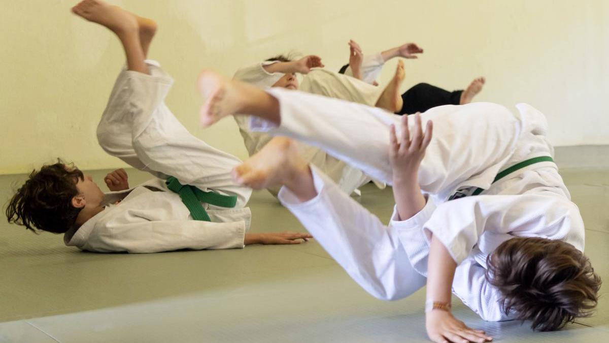 Aikido (abgesagt)